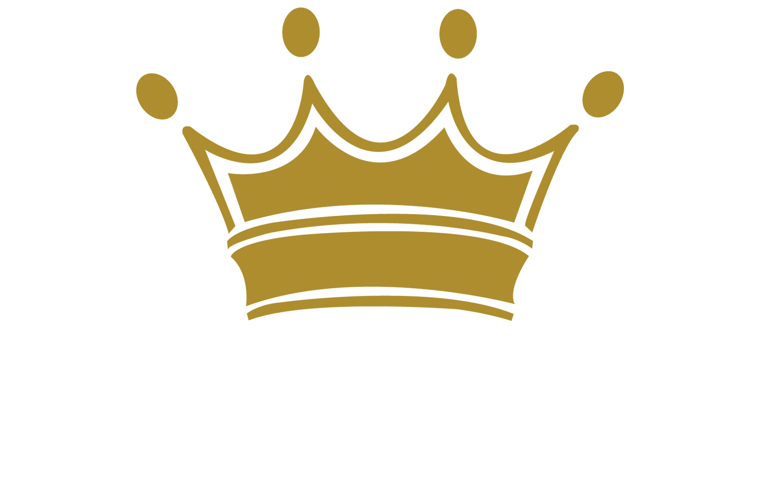 Al Ameer Al Fani Contracting & General Maintenance