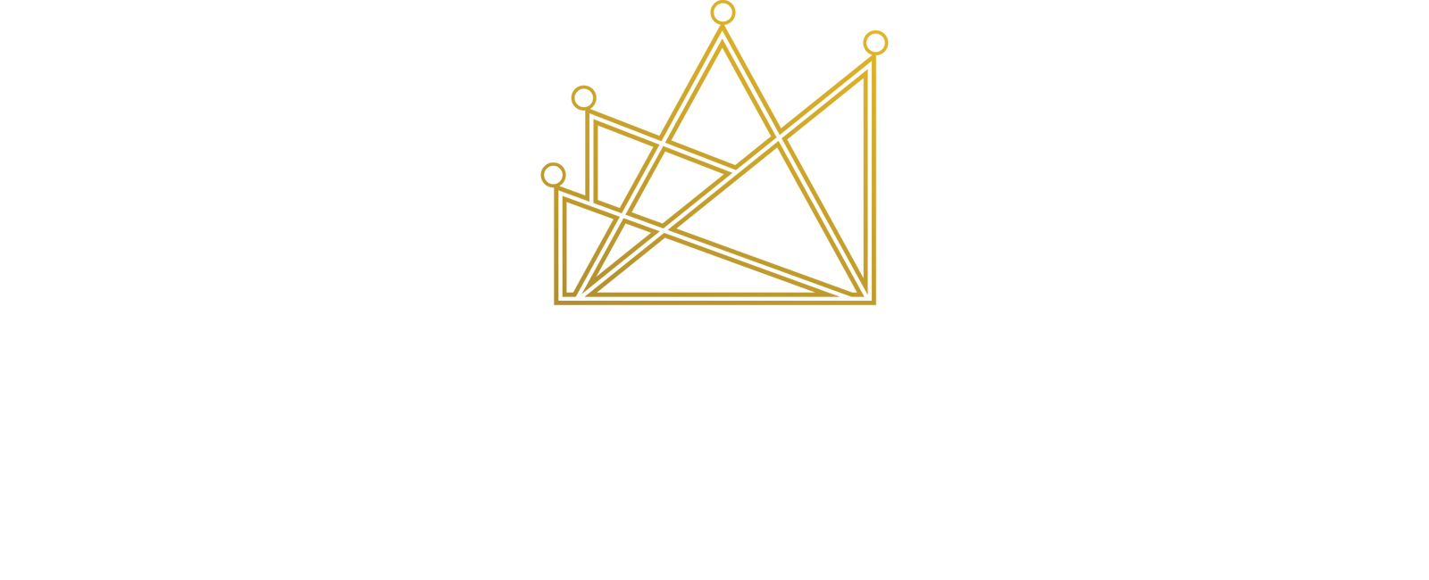 Al Ameer Al Fani Contracting & General Maintenance